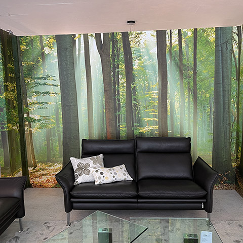 portfolio local_professionnel